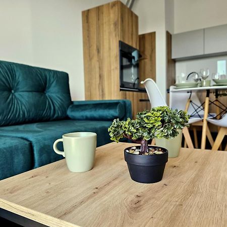 Casa De Rosa 3 Lejlighed Zator Eksteriør billede